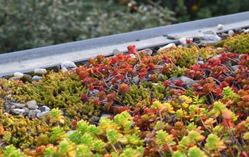 the cost of Passfield green roof installation