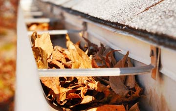 Passfield gutter cleaning companies