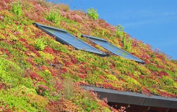 Passfield living roof systems