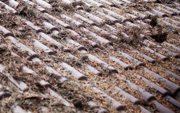 Passfield roof cleaning companies