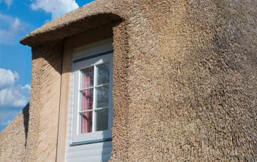 Passfield thatch roof disadvantages