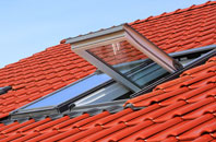 Passfield roof window