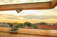 rated Passfield roof window companies